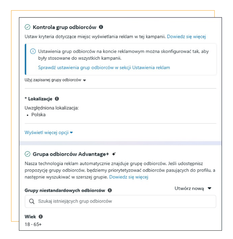 Grupy odbiorców kampanii facebook